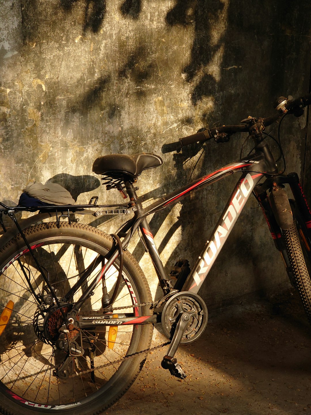 Transport