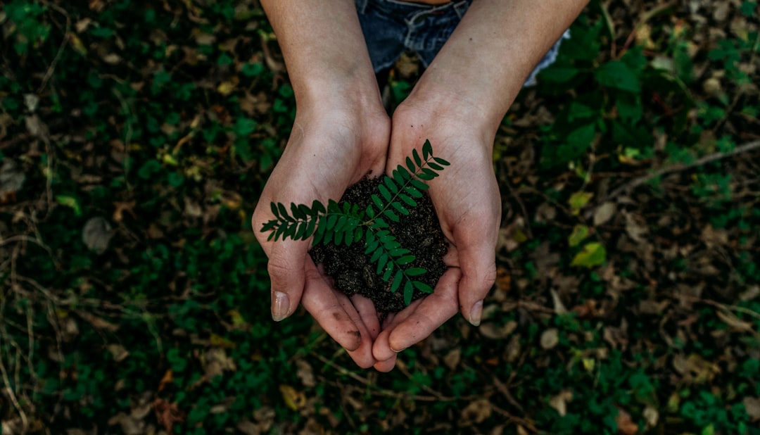 Zmiany w przepisach klimatycznych